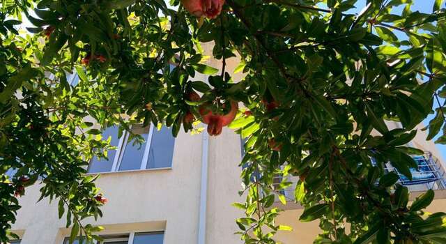 Гостиница Krokus Guest House Адлер-11